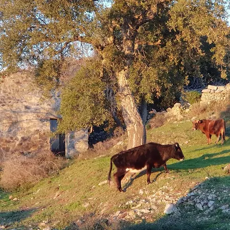 Au Calme, Vue Exceptionnelle Villa *